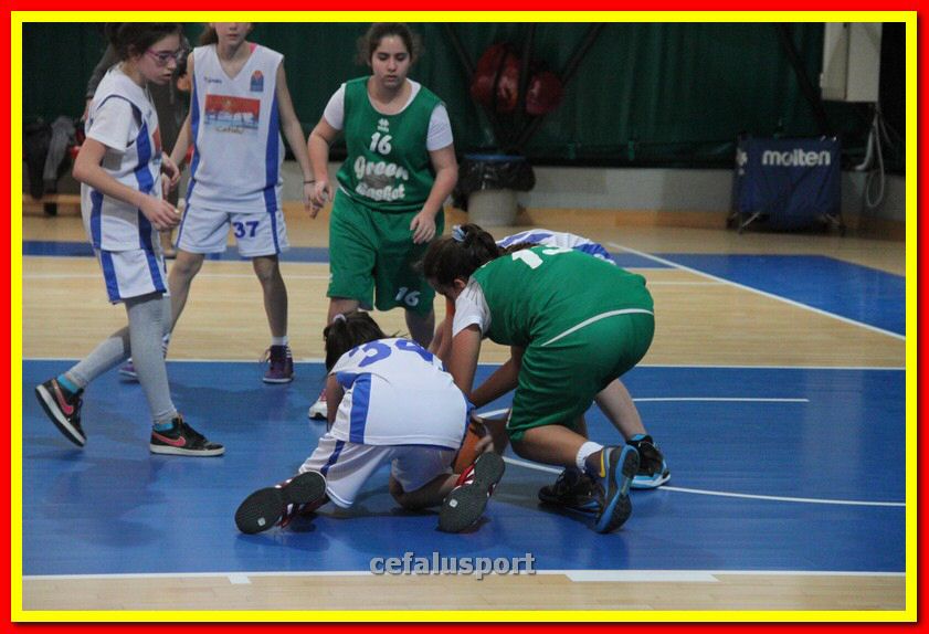 140301 GM_basket 247_tn.jpg